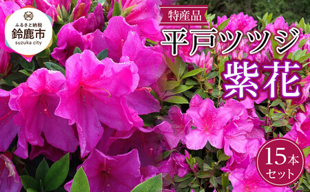 特産品 ヒラトツツジ紫花 15本セット