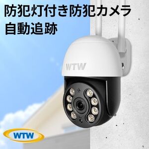 監視・防犯カメラ ワイヤレス 屋外 ゴマちゃんS WTW-IPW2220T【1423231】