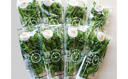 なばリーフ 贅沢 ケール パック 【8p入/ 時短 野菜 特殊フィルム包装】