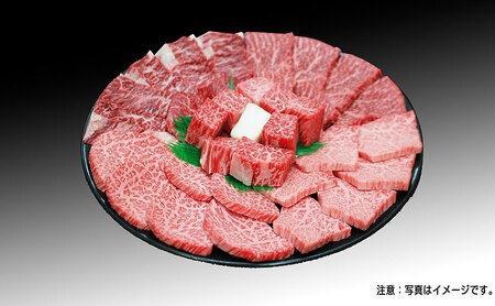 BBQ 希少部位セット