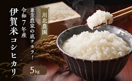 兼業農家の底チカラ!川北農園 令和7年産 伊賀米コシヒカリ 5kg 3年連続 特A 米 こしひかり ご飯 ごはん 白米 精米 三重県 名張市