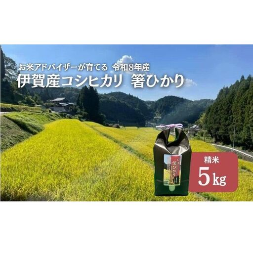 先行販売!令和8年度産 伊賀産コシヒカリ 極上 箸ひかり(精米)5kg コシヒカリ 3年連続 特A 米 こしひかり ご飯 ごはん 白米 精米 三重県 名張市