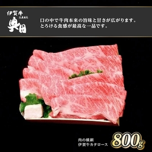 肉の横綱 伊賀牛 カタロース 800g すき焼き 焼きしゃぶ / 冷凍発送 産直 自家牧場 三重県 名張市 奥田 オクダ[0536]5-は