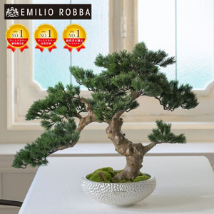 アートフラワー エミリオ・ロバ 盆栽 TUTTA30500