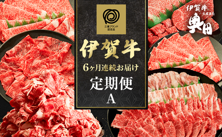 伊賀牛 6ヶ月連続お届け 定期便 A [ 伊賀牛牛トロ刺し すき焼きセット 伊賀牛ステーキセット 伊賀牛切り落とし 焼肉5人盛り ] オクダ 牛肉 高級 和牛 肉 牛肉 人気 自宅用 グルメ お取り寄せ 誕生日 お祝い 贅沢 三重