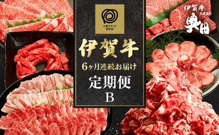 伊賀牛 6ヶ月連続お届け 定期便 B [ 伊賀牛切り落とし 焼肉セット5人盛り すき焼きセット 伊賀牛ステーキ ユッケ 伊賀牛タン ] オクダ 牛肉 高級 和牛 肉 牛肉 人気 自宅用 グルメ お取り寄せ 誕生日 お祝い 贅沢 三重