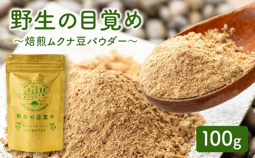 野生の目覚め〜焙煎ムクナ豆パウダー〜