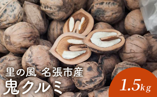 里の風 名張市産鬼クルミ 1.5kg くるみ 胡桃 三重県 名張市