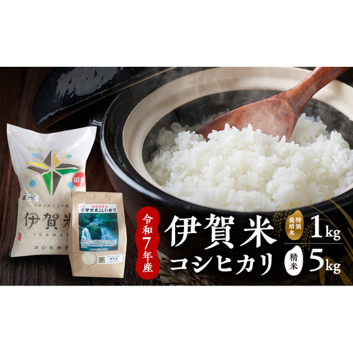 [精米]令和7年産 伊賀米コシヒカリ 5kg+特別栽培米1kg お米 米 白米 こしひかり ごはん 三重県 名張市
