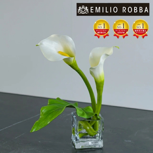 アートフラワー エミリオ・ロバ カラーM TTNTS40120