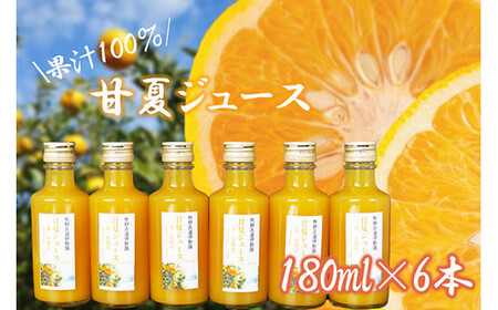 果汁100%甘夏ジュース180ml×6本セット甘夏蜜柑果物柑橘フルーツシュース国産三重県尾鷲市AI-2甘夏ジュース 甘夏ジュース 甘夏ジュース甘夏ジュース 甘夏ジュースv甘夏ジュース 甘夏ジュースAI-2