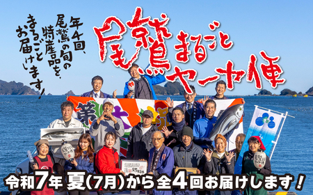 「オール尾鷲」の大人気まちおこし通販便(年4回)尾鷲まるごとヤーヤ便(年4便)[12月31日までにお申し込みの方にオリジナル手ぬぐいプレゼント!!] YA-8