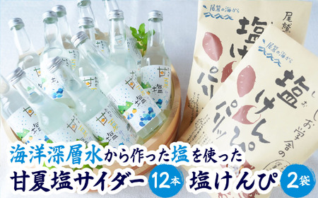 海洋深層水 の 甘夏 塩 サイダー [香料・酸味料・保存料不使用] と 塩けんぴ 2袋 12本 炭酸 ジュ ース 飲料 菓子 つまみ ギフト 贈り物 詰め合わせ 三重県 尾鷲 しお学舎