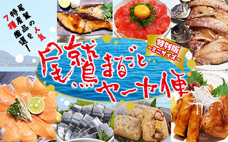 「オール尾鷲」の大人気まちおこし通販便 尾鷲まるごとヤーヤ便 特別版 お試しセット