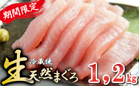 [生でお届け]国産天然マグロ1.2kg [10月15日までの受付] [まぐろまぐろまぐろまぐろまぐろまぐろまぐろまぐろまぐろ]KI-67