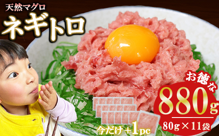 今だけ増量!ネギトロ (まぐろたたき) 880g (80g ×11袋) セット小分け 天然まぐろ ネギトロ ねぎとろ 丼 手巻き寿司 軍艦 寿司 たたき 天然 マグロ 冷凍 魚介 海鮮 トロ 鮪 人気 返礼品 三重県 尾鷲市 CH-116