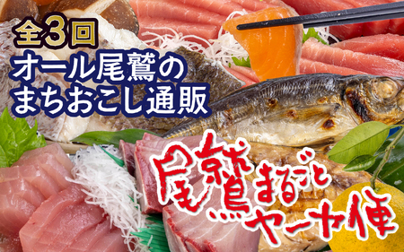 [オプション全部盛り!!]「オール尾鷲」の大人気まちおこし通販便(年3回) 尾鷲まるごとヤーヤ便 (年3回) [12月31日までにお申し込みの方にオリジナルグッズプレゼント!]