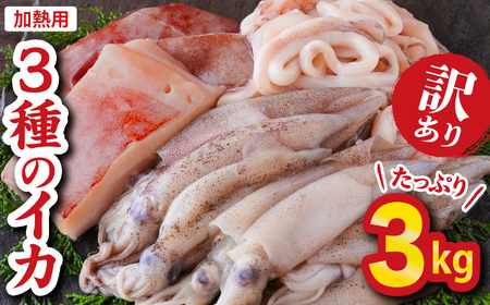 [訳あり]3種のイカ たっぷり 3kg ! [加熱用] ヤリイカ、アカイカ、マツイカ 詰め合わせ 小分け 下処理済 煮物 からあげ 天ぷら 炒め物 サラダ おつまみ などに 使いやすい 烏賊 イカ 海鮮 魚介 三重県 尾鷲市 人気 大満足 返礼品