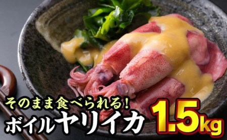 ボイルヤリイカ 約1.5kg(300g × 5袋)セット(到着日時指定必須商品)小分け 三重県尾鷲市 人気 大満足 返礼品 MT-9