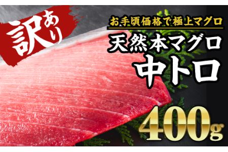 訳あり 天然本マグロ 中とろ柵２本（約400g） ＜お試し商品＞　CH-95