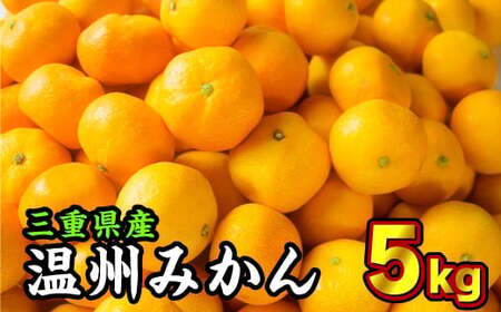 三重県産 温州みかん 5kg[12月末までの受付] 国産みかん 温州みかん 大容量 ミカン 柔らかい果実 三重県産みかん 甘いみかん おすすめみかん お得 蜜柑 紀州 三重県 尾鷲市