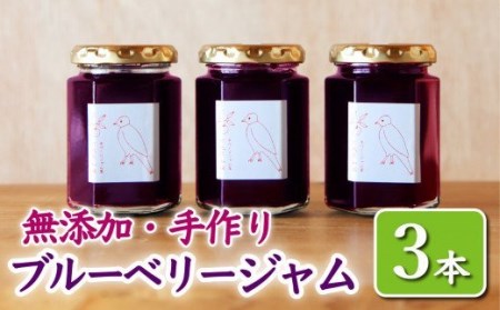  ブルーベリージャム３本＜160g × 3本＞　KA-25