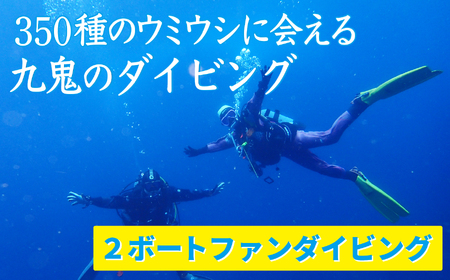 350種の美しい ウミウシ が魅力 【 ２ボートファンダイビング】 オールシーズン 海 ツアー マリンスポーツ 三重県 尾鷲市 九鬼 　DI-8