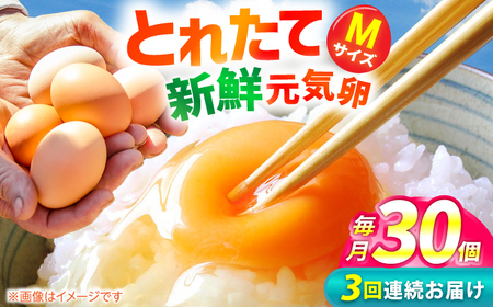 [3回定期便]お茶と海藻で健康育ち 元気卵 90個(30個×3回) / 卵定期便 たまご 卵 タマゴ 卵定期便 玉子 鶏卵 / 亀山市 / 藪本養鶏園 [AMBH002]