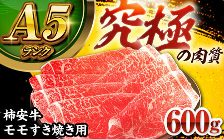 三重県亀山市 最高級A5等級 三重県産黒毛和牛 三重 柿安牛モモ 600g 亀山市/柿安本店[AMBW002]