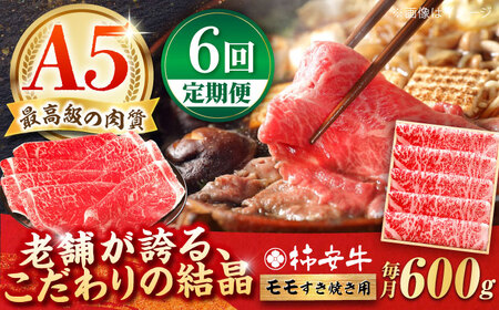 [6回定期便]モモ 600g 最高級A5等級 黒毛和牛 / 黒毛和牛 もも肉 黒毛和牛もも肉 黒毛和牛もも肉 黒毛和牛もも肉 黒毛和牛 もも肉/ 柿安牛 / 亀山市 / 柿安本店 [AMBW007]