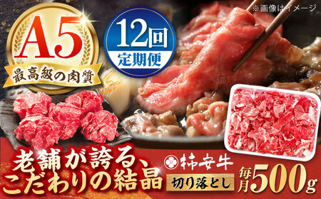 [12回定期便]切り落とし 500g 最高級A5等級 黒毛和牛 / 定期便 和牛 切り落とし 国産 牛肉切り落とし 牛肉定期便 すき焼き しゃぶしゃぶ /柿安牛 / 亀山市 / 柿安本店 [AMBW011]
