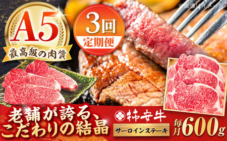 [3回定期便]サーロインステーキ 600g 最高級A5等級 黒毛和牛/ 和牛 ステーキ肉 定期便 和牛 ステーキ肉 /柿安牛 / 亀山市 / 柿安本店 [AMBW024]