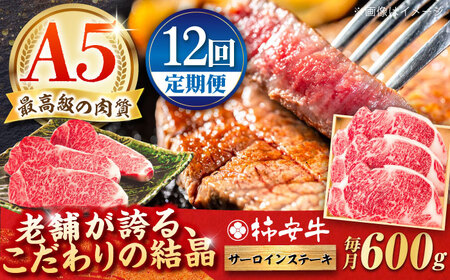 [12回定期便]サーロインステーキ 600g /ステーキ 牛肉ステーキ サーロインステーキ 和牛ステーキ 和牛サーロイン 牛肉 / 最高級A5等級 黒毛和牛 柿安牛 / 亀山市 / 柿安本店 [AMBW026]