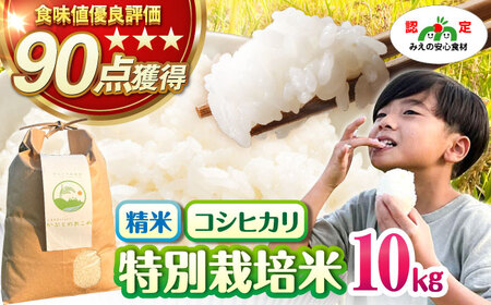 ʍ͔| ԂƂ̂  10kg@  TRs/ԂƂ̐XeX[AMAD010]