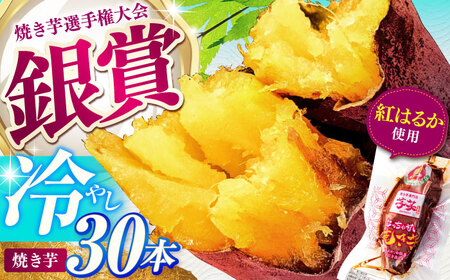 紅はるか冷やし焼き芋30本[AMBU007] 紅はるか 焼き芋 紅はるか 焼き芋 紅はるか 焼き芋