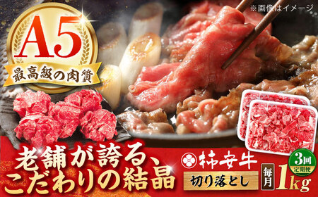 [全3回定期便]黒毛和牛切り落とし 1kg AMBW035 切り落とし定期便 切り落とし定期便 切り落とし定期便 切り落とし定期便 切り落とし定期便