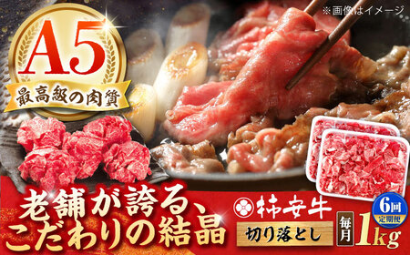 y6ցzōA5 јa ` ؂藎Ƃ 1kg TRs/`{X[AMBW036]