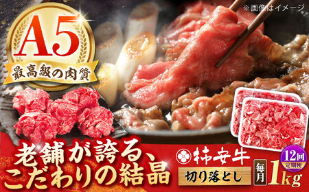y12ցzōA5 јa ` ؂藎Ƃ 1kg TRs/`{X[AMBW037]