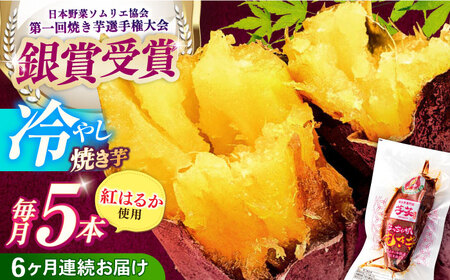 6回定期便 冷やし焼き芋 5本[AMBU015] 焼き芋 さつまいも 冷蔵