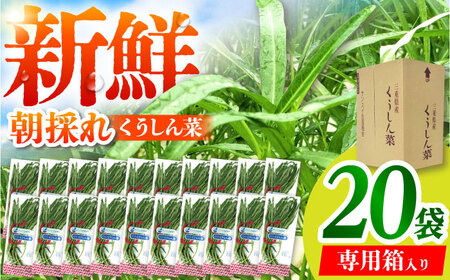 VN̂  eʃpbN 20 / TRs / O[nEXgc[AMCD001]