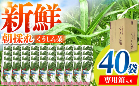 VN̂  eʃpbN 40 / TRs / O[nEXgc[AMCD002]