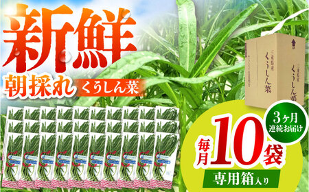 y3ցzVN̂  v30 / TRs / O[nEXgc[AMCD003]