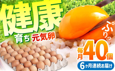 yS6ցzƊCŌN炿 C 240i40×6j / ܂ ^}S ʎq { / TRs / M{{{[AMBH007]