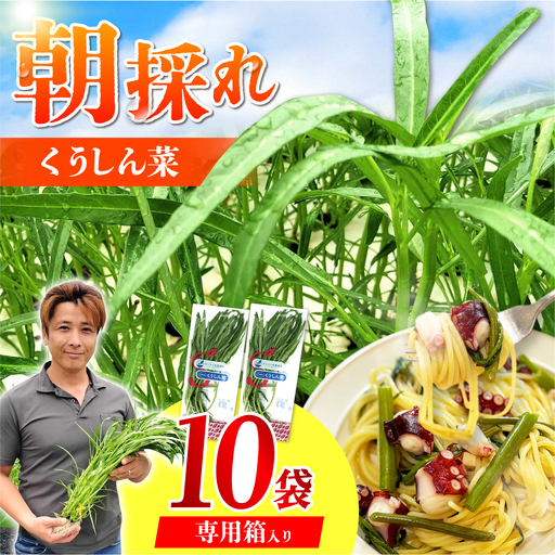 [ほうれん草の代わりになる]くうしん菜(空心菜)10袋 新鮮 野菜 葉物野菜 サラダ 国産 小分け