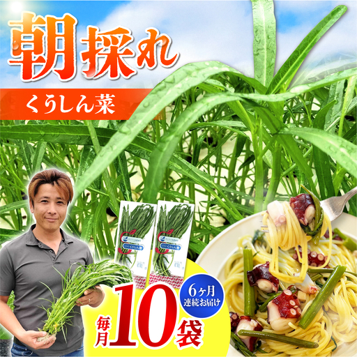 [6回定期便]新鮮朝採れ くうしん菜 10袋(計60袋) / 新鮮 野菜 葉物野菜 水耕栽培 産地直送 サラダ エンサイ ヨウサイ 国産 小分け 詰め合わせ まとめ買い 料理 / 亀山市 / グリーンハウス吉田[AMCD005]