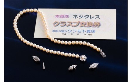 真珠 ネックレス 金具 - ホビーの人気商品・通販・価格比較 - 価格.com