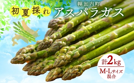 北海道 アスパラガス 約150g×14束 計2kg 以上 M-L混合 初夏採れ グリーン アスパラガス 野菜 緑 アスパラ 新鮮 旬 初夏 国産 甘い 小分け お取り寄せ 産地直送 蔵前農園 送料無料 
