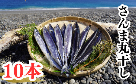 干物 さんま丸干し 10本 干物[uosk0015]