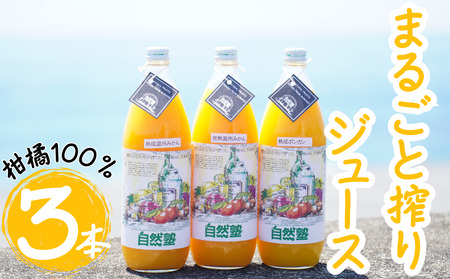 ⑭自然塾　柑橘100%まるごと絞りジュース　３本入り　みかんジュース オレンジ ポンカン 不知火 温州 ドリンク 飲料 飲み物 朝食 無添加 季節 旬【szjk0008】