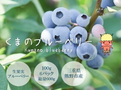 [先行受付]ブルーベリー くまのブルーベリー 生果 600g(100g×6) フルーツ 果物 くだもの ブルーベリー スムージー ジャム 朝食 デザート 特産品 人気 国産 旬 熊野精工 三重県 熊野市[kmsi0005]